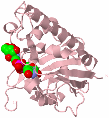 Image Biological Unit 12