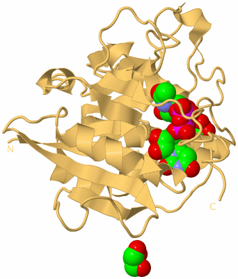 Image Biological Unit 13