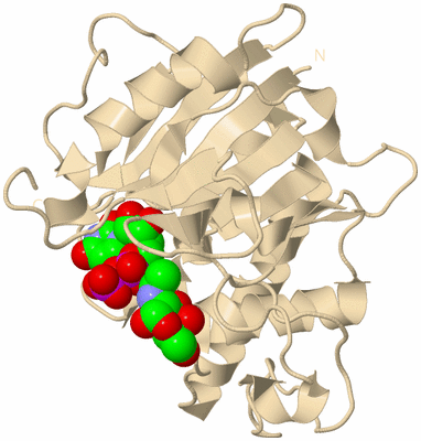 Image Biological Unit 14