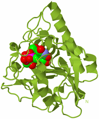 Image Biological Unit 15