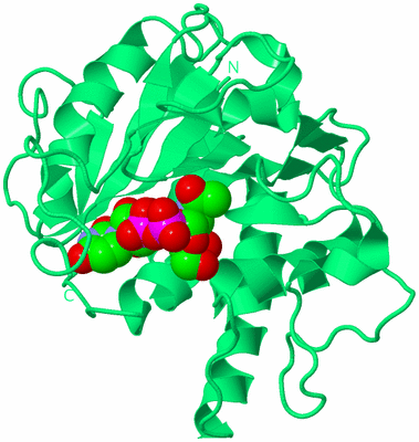 Image Biological Unit 16