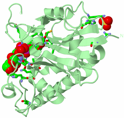 Image Biol. Unit 1 - sites