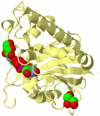 Image Biological Unit 2