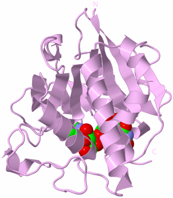 Image Biological Unit 3