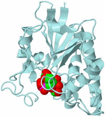 Image Biological Unit 4