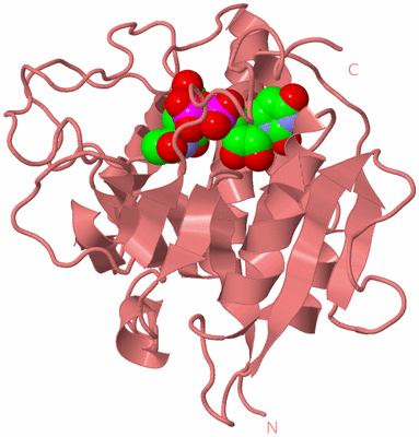 Image Biological Unit 5