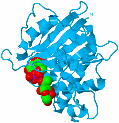 Image Biological Unit 6