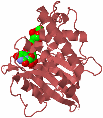 Image Biological Unit 7