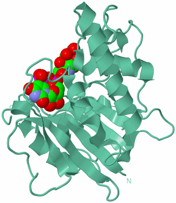 Image Biological Unit 8