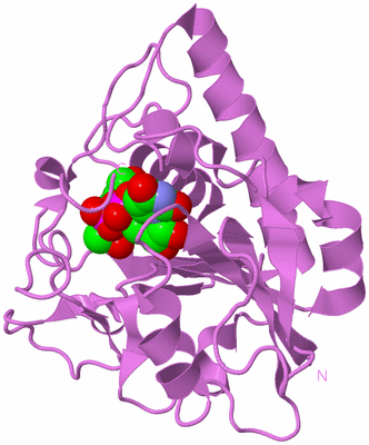 Image Biological Unit 9