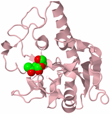 Image Biological Unit 3