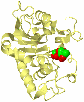 Image Biological Unit 4