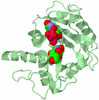 Image Biological Unit 2