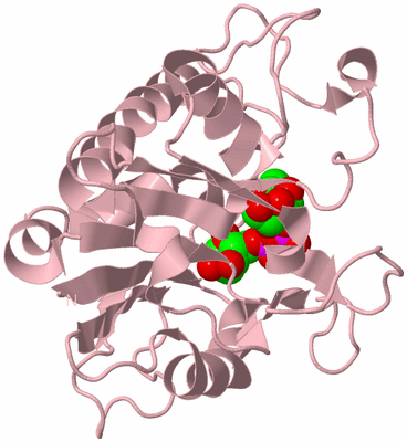 Image Biological Unit 3