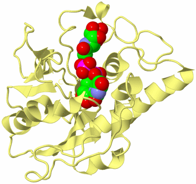 Image Biological Unit 4