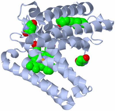 Image Biological Unit 1