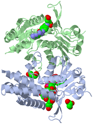 Image Asym./Biol. Unit