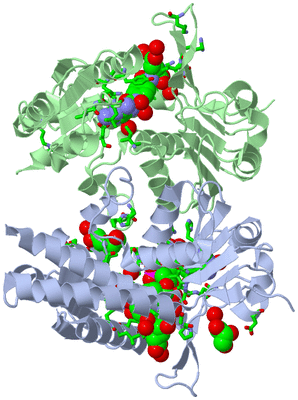 Image Asym./Biol. Unit - sites