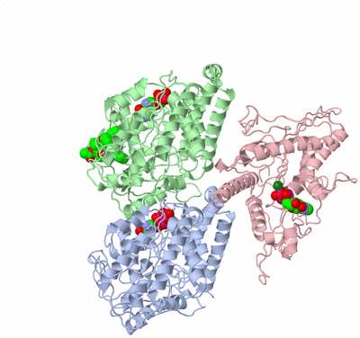 Image Asym./Biol. Unit