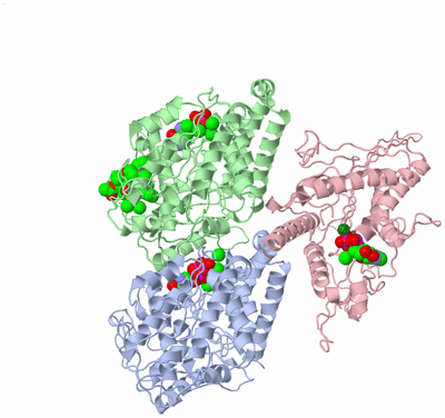 Image Asym./Biol. Unit - sites