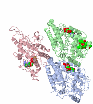 Image Asym./Biol. Unit