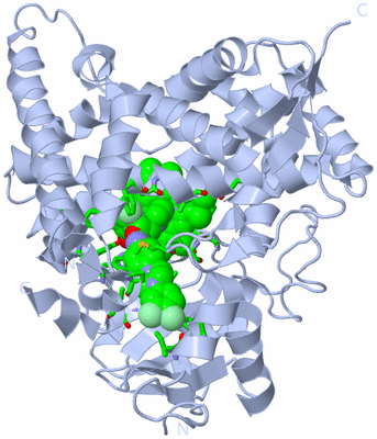 Image Biol. Unit 1 - sites