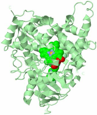 Image Biological Unit 2