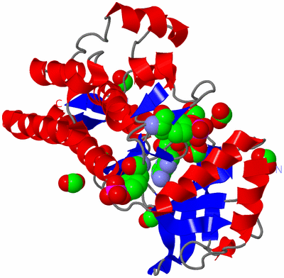 Image Asymmetric Unit