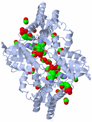 Image Biological Unit 1