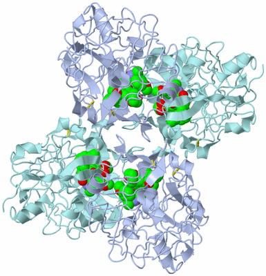 Image Biological Unit 1