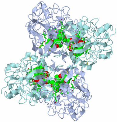 Image Biol. Unit 1 - sites