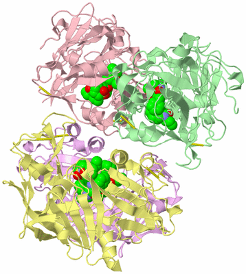 Image Biological Unit 2