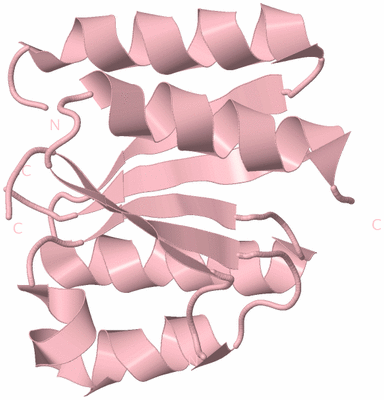 Image Biological Unit 3