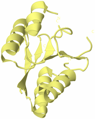 Image Biological Unit 4