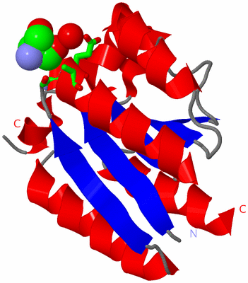 Image Asym. Unit - sites