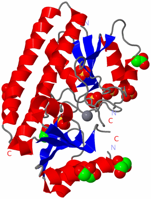 Image Asym./Biol. Unit