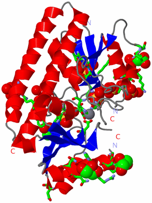 Image Asym./Biol. Unit - sites