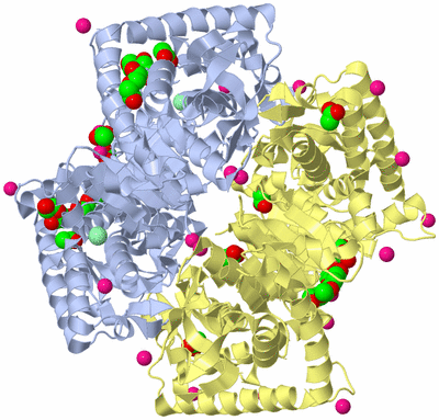 Image Biological Unit 1