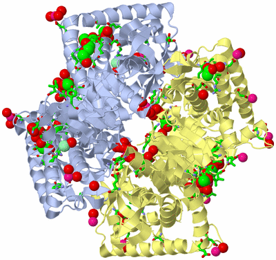 Image Biol. Unit 1 - sites