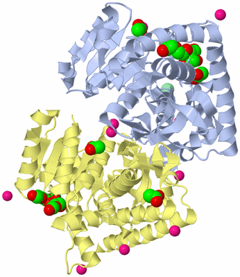 Image Biological Unit 2