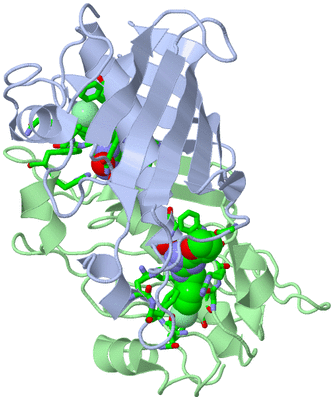 Image Biol. Unit 1 - sites