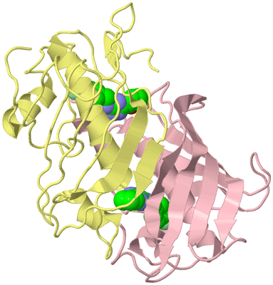 Image Biological Unit 3