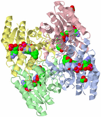 Image Asym./Biol. Unit