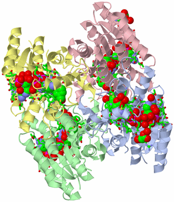 Image Asym./Biol. Unit - sites