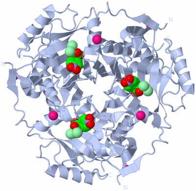 Image Biological Unit 1