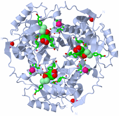 Image Biol. Unit 1 - sites