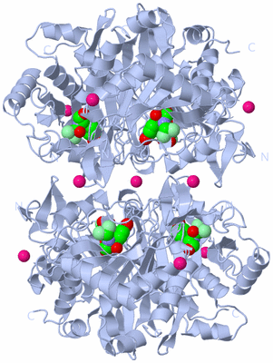 Image Biological Unit 2