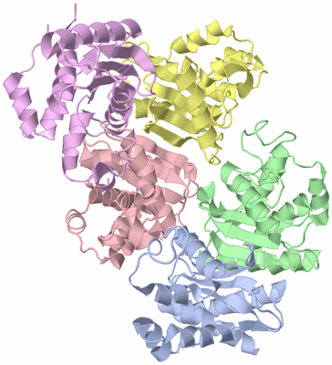Image Asymmetric Unit