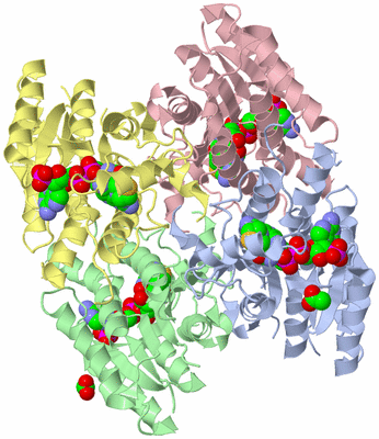 Image Asym./Biol. Unit