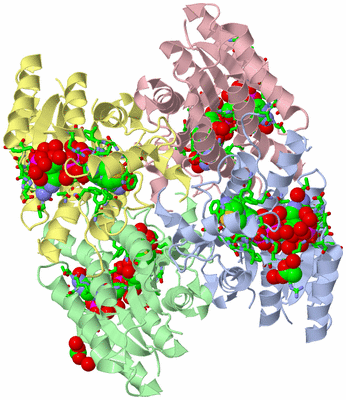 Image Asym./Biol. Unit - sites